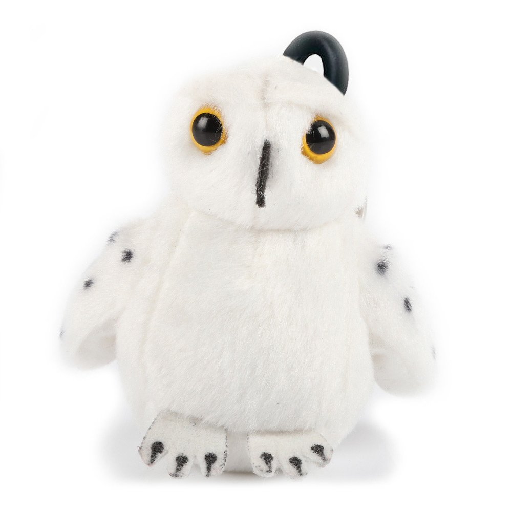 Shop Primary Image Shop Primary Image