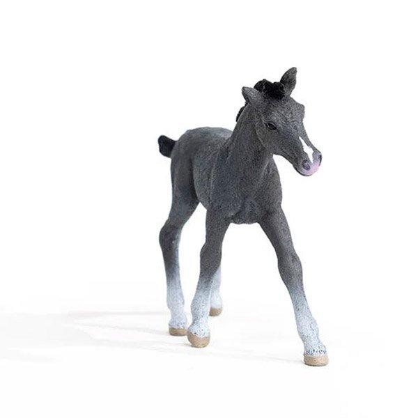 Figurka zabawkowa źrebak Traken Schleich 13944 - obrazek 4