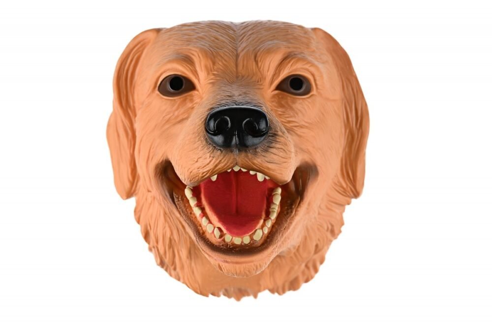 Shop Primary Image Shop Primary Image