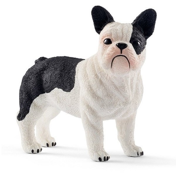 Shop Primary Image Shop Primary Image