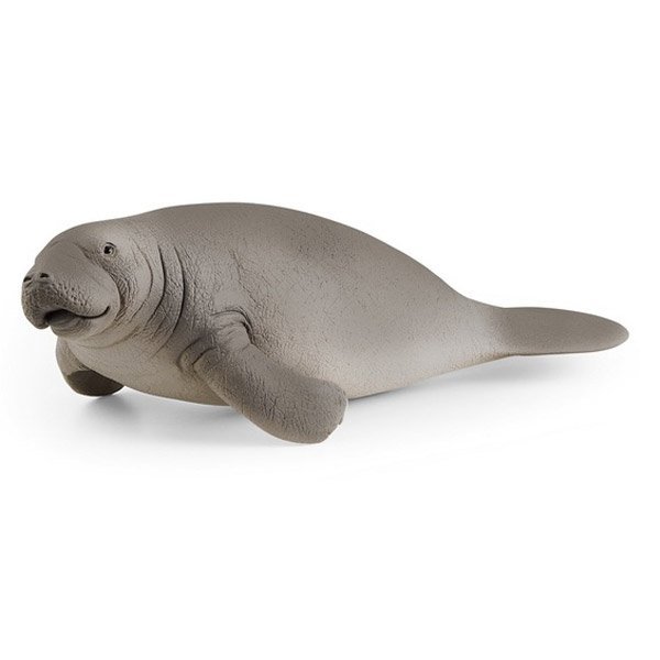 Shop Primary Image Shop Primary Image