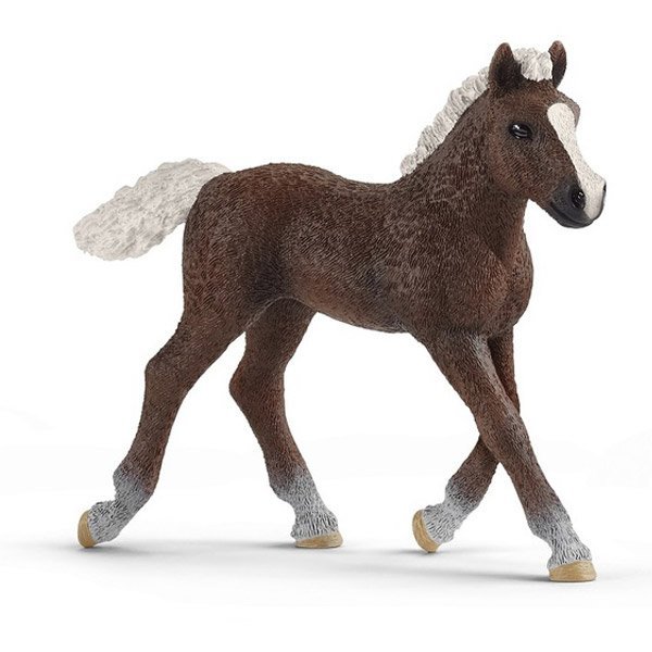 Shop Primary Image Shop Primary Image