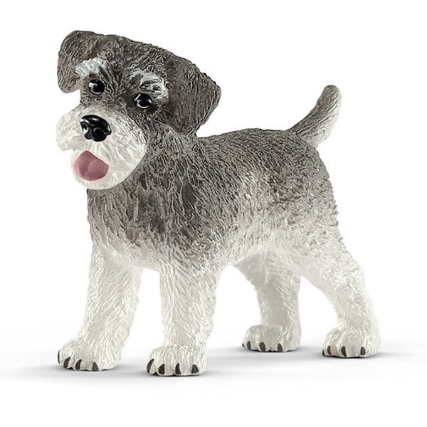 Shop Primary Image Shop Primary Image