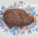 Miękka zabawka Pomarańczowy Dzik Złota Świnka 55 cm (8025/50)