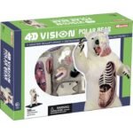 4D Master 3D model Niedźwiedź polarny 26097