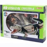 Model 3D krokodyla 4D Master FM-622034