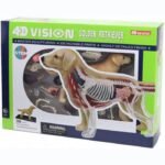 Model 4D Master 3D Golden Retriever Dog FM-622007